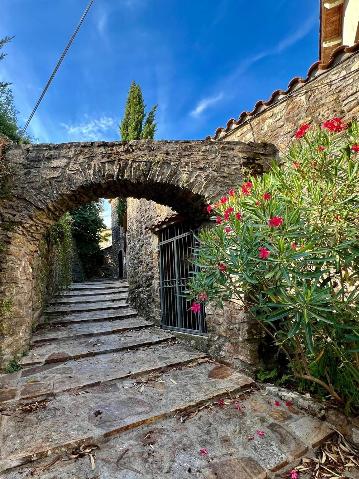 Hotel Moulin Gaillard Bédarieux Exterior foto